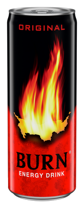 Burn Enerji İçeceği 250ml