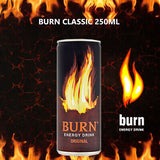 Burn Enerji İçeceği 250ml