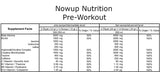 NOWUP NUTRITION Pre-Workout Amino Asit Saşe | Vişne Aromalı | 12g x 1 Adet