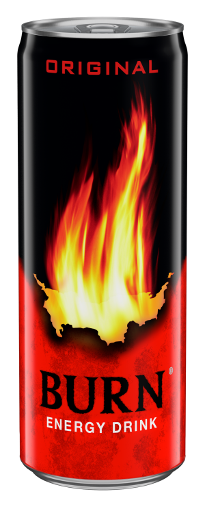Burn Enerji İçeceği Kutu 250ml