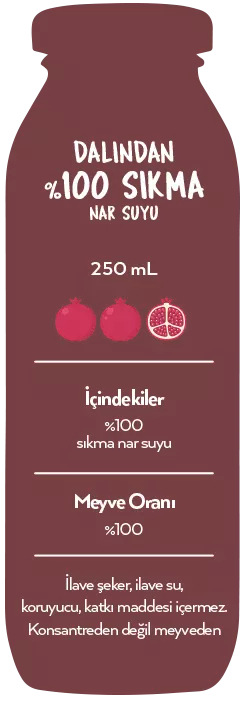 Naren Sıkma %100 Nar Suyu - 250ml