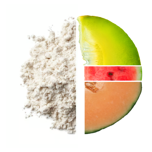 Z-Konzept BCAA Powder 500 grams - Exotic Melon Secondary image