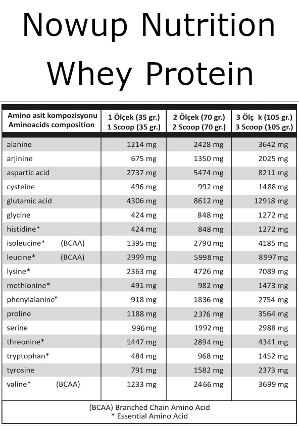 NOWUP NUTRITION %100 Whey Protein Tozu 36g Çikolata Şase