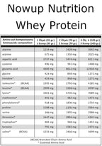 NOWUP NUTRITION %100 Whey Protein Tozu 36g Çikolata Şase