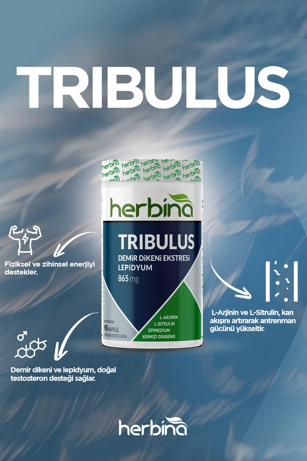 Herbina Demir Dikeni Ekstresi Lepidyum Takviyesi 90 Kapsül